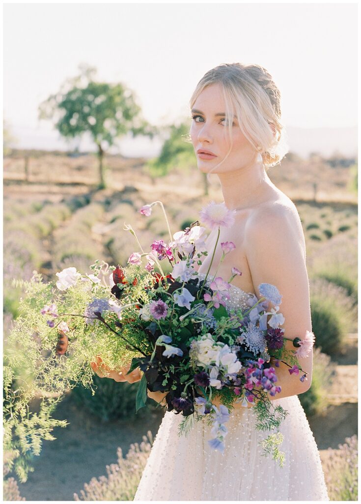 Lavender fields wedding editorial photographed by Lisa Riley based in San Diego.